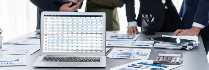 Accounting software on computer screen showing financial statement spreadsheets and account balance...