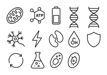 Cellular Energy Icons. Outline icon set of cellular energy: mitochondria, ATP molecule, battery icon, DNA