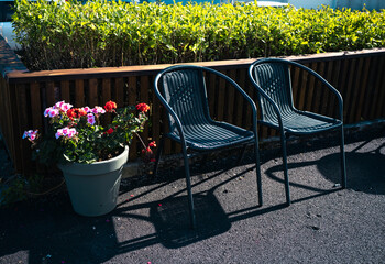 Two empty chairs infront of a hedge with flowers in a pot at the side