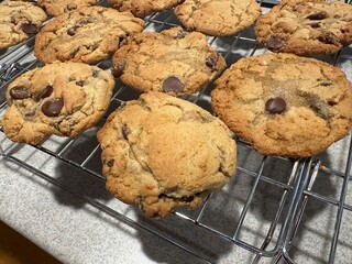 Freshly Baked Chocolate Chip Cookies