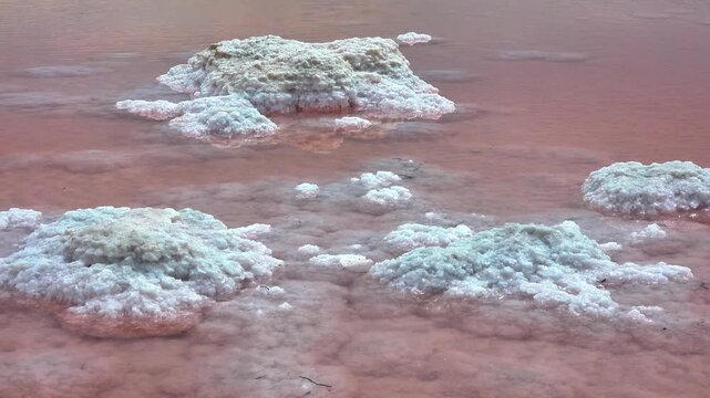 Kuialnyk Estuary, salt Sodium chloride crystallized on the bottom
