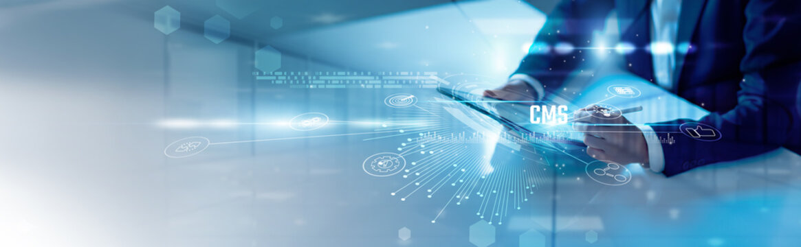 Businessman analysis content management systems and website optimization, digital publishing, content workflows, SEO-friendly platforms, media integration, enterprise content solutions