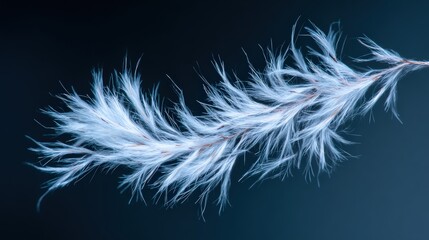 A delicate, detailed image of a single, white feather with soft, textured details, showing the intricate structure and elegance of the feather, against a dark backdrop