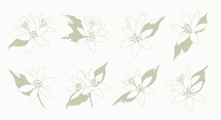 Obraz premium Set of eight minimalist floral watercolor illustrations with subtle green leaf accents on a neutral background