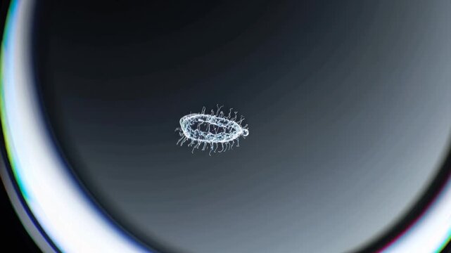 Paramecium aurelia spinning within dark liquid, revealing intricate cellular structures under microscopic view with subtle chromatic distortions surrounding translucent organism