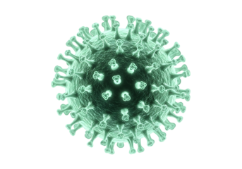 Green coronavirus particle isolated on transparent background