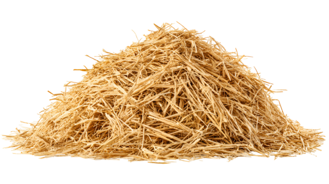 A Pile of Golden Hay Isolated on Black Background