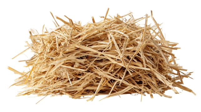A pile of light brown straw isolated on black background
