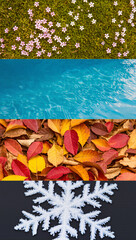 A vertical creative collage image divided into four quadrants, each representing different season, include small pink flowers on moss, blue water, red and yellow leaves, and macro shot of a snowflake.