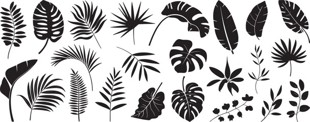 Coconut Palm Leaf Silhouette Vector with Tropical Beach and Jungle Elements