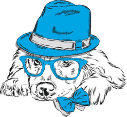 Dog in a hat and tie. Vector. Vector illustration for greeting card, poster, or print on clothes.