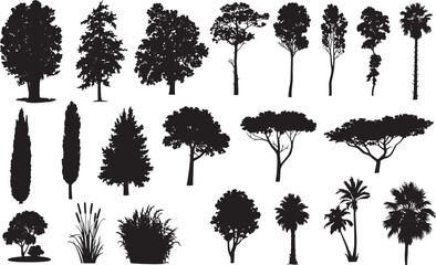 Fototapeta premium Tree Silhouette Vector Collection – Evergreen Pine, Oak, Fir, and Deciduous Forest Elements for Nature and Ecology Design