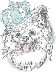 Pedigree dog.. A beautiful puppy in a crown. Vector illustration. Tiger and flowers.
