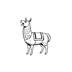 Llama Sports #131