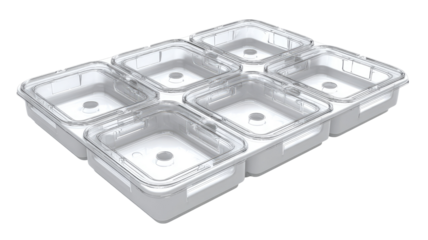 Six-compartment food storage tray with clear lids