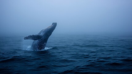 A majestic humpback whale breaches through misty ocean waters, displaying its immense size and beauty in a dramatic scene.