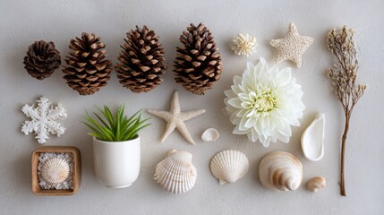 Flat lay of seasonal decorative items: pinecones, flowers, shells, organized on neutral surface