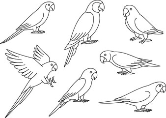  Parrot line art vector, tropical bird illustrations, exotic parrot clipart, flying and sitting parrots drawing, coloring page birds outline, bird sketches