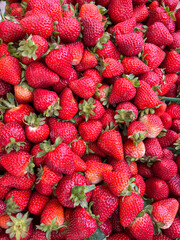 Pile of Fresh Strawberries . Vibrant Red Berry Texture