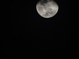 Detailed view of the waxing gibbous Moon against a black sky, showing craters and maria. A sharp, high-contrast astronomical capture.