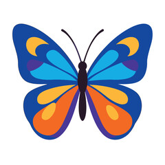 A vibrant, stylized illustration of a butterfly with colorful blue, orange, and yellow wings on a white background.