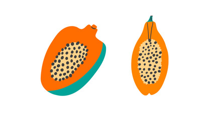 Papaya fruit hand drawn trendy vector illustration. Exotic fruit halves with seeds. Design elements