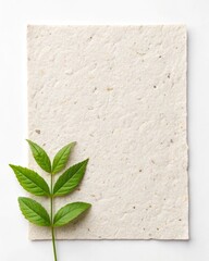 Blank handmade paper with green leaves isolated on white background, ideal for ecofriendly designs, invitations, or naturethemed projects, offering a natural and organic feel
