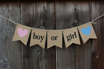 "Boy or girl" banner hanging on aged wood fence for gender reveal party or baby shower announcement.