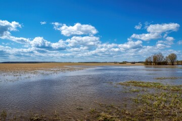 Fototapeta premium Inundated Soybean Fields: Rural Agriculture Affected by Spring Flooding Disasters