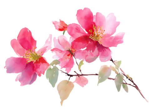 Watercolor Pink Flowers Branch, Botanical Illustration, Floral Design Element - Powered by Adobe