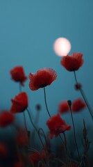 Obraz premium Vibrant red poppies set against a calming evening sky, illuminated by a glowing full moon in the background.