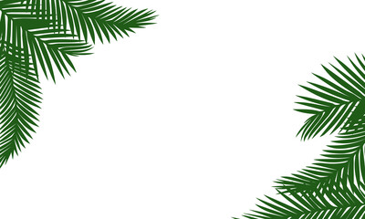 Lush green palm leaf background. Tropical template isolated on a white background. Coconut palm fronds. Plant foliage. Vector flat summer illustration.
