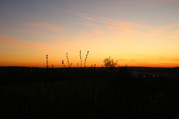 Fototapeta premium sunset on the river