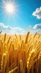 Golden wheat field shimmering under a summer sun, reaching towards a vibrant blue sky  A picturesque scene of abundant harvest and the peak of growing season ,  harvest,  flora,  sunlight
