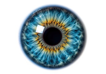 Vibrant Blue and Golden Human Eye Iris Detail