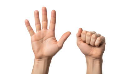 Human hand showing six fingers and a fist isolated on transparent background