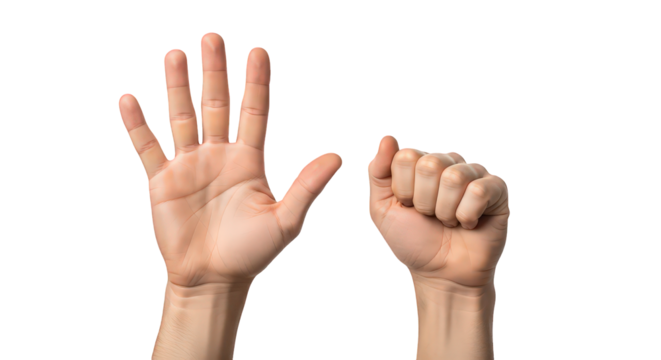 Human hand showing six fingers and a fist isolated on transparent background