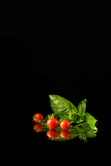 Cherry Tomatoes and Fresh Basil on Glossy Black Surface