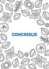 Traditional Italian pasta sketch. Conchiglie frame. Italian food. Staple food. Hand drawn vector illustration. Background for packaging, menu. Top view. Not AI