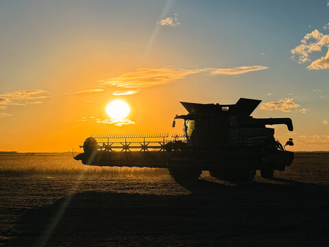 Sunset over a rural North Dakota soybean field with a combine harvester silhouetted against the sky. Sun rays shine behind the combine, highlighting the beauty of fall farming and agriculture