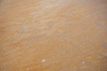 Texture of wet golden sand on San Pedro beach, Ivory Coast
