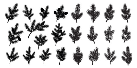 Collection of christmas tree branch silhouettes, black silhouette on a transparent background, vector set