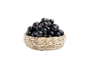 Black currant berries in wicker basket, front view, PNG, isolated on transparent Background