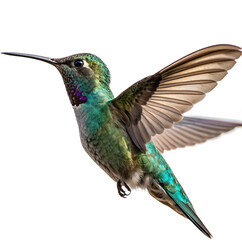 Fototapeta premium Vibrant hummingbird hovers mid-flight showcasing iridescent green plumage and delicate wings 
