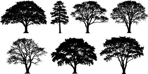A hyper-realistic vector illustration of black tree silhouettes
