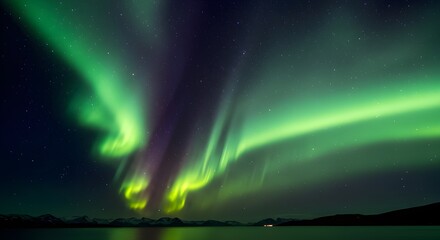 Shimmering aurora borealis in a clear polar night sky.

