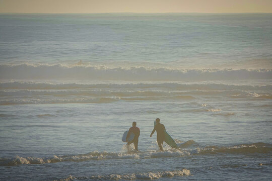 SILHOUETTE: Two surfing friends walk into the waves, carrying their surfboards through shallow water. Quiet anticipation before riding waves at famous surf break in Morocco in golden light of sunset.