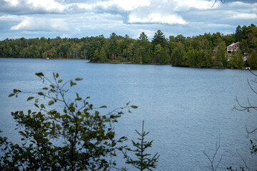 lake in the forest