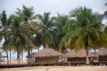 tropical resort beach, Traditional straw huts under the palm trees – San Pedro Beach, Ivory Coast