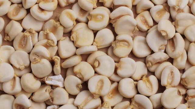 giant corn kernel on wooden table